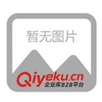 供應浮選機破碎機選金礦 鉬礦 銅礦 鉛鋅礦選礦設備